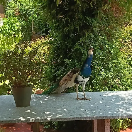 Casa vacanze A Casa Da Ponte *