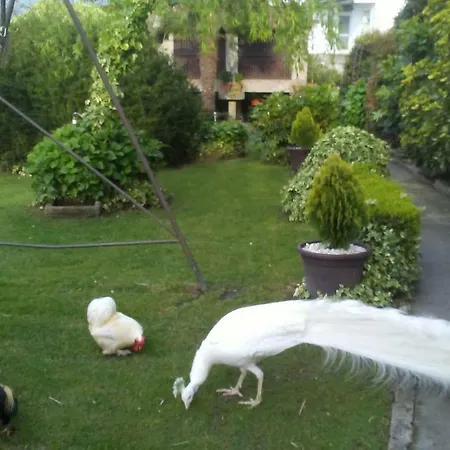A Casa Da Ponte Holiday home Sanxenxo