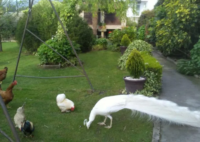 A Casa Da Ponte Holiday home Sanxenxo